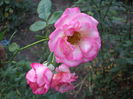 DSCF1616
