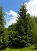 DSC08339