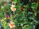 DSC03728