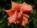 DSC03677