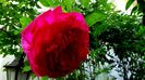 DSC01720