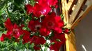 DSC01748
