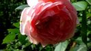 DSC01751