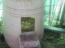 20140610_164219
