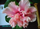 PICT2379