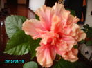 PICT2382