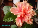 PICT2381