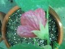 DSCN8406