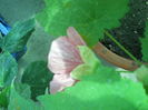 DSCN8407
