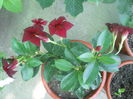 DSCN8410