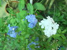 DSCN8428