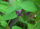 DSCN8429