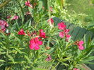 DSCN8438