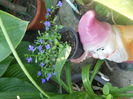 DSCN8441