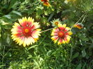 DSCN8445
