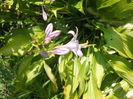 DSCN8447