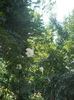 DSCN8457