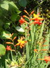DSCN8474