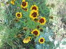DSCN8492