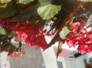 DSCN8501