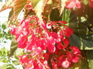 DSCN8502