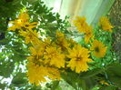 DSCN8504