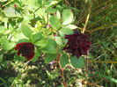 DSCN8460