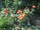 DSCN8462