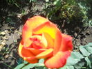 DSCN8468