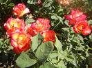DSCN8469