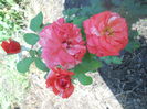 DSCN8475