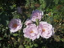 DSCN8477
