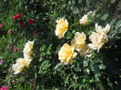 DSCN8479