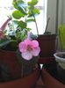 IMG_20150813_154939
