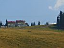 DSC09501