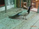 DSC01710
