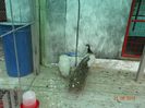 DSC01725