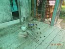 DSC02633