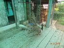 DSC02635
