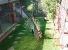 DSC01749