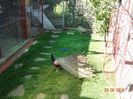DSC01754