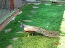 DSC01757