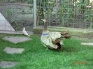 DSC01763