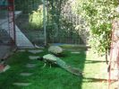 DSC01764