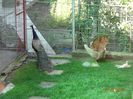 DSC01769