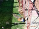 DSC01790