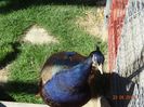 DSC01797