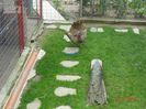 DSC02364