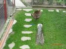 DSC02365