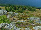 DSC09569